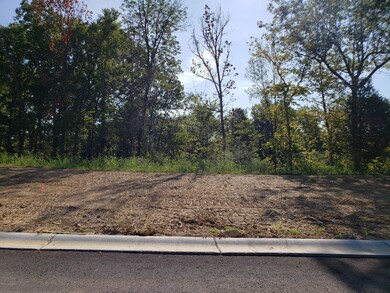 22 Kilner Goodlet Ct, Mount Washington, KY 40047 - photo 2