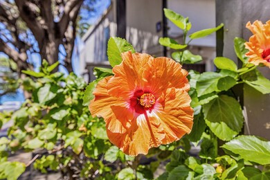 2531 S Kihei Rd unit C620, Kihei, HI 96753 - photo 4