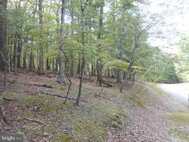 LOT 31A Pioneer Trail, Great Cacapon, WV 25422 - photo 5