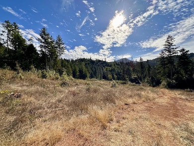 780 Tunnel Rd, Glendale, OR 97442 - photo 5