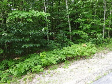 0 Rocky Dunn Rd unit 1321613, Baldwin, ME 04024 - photo 2