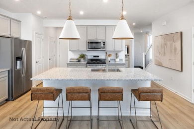 Model Representation