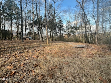 Tbd Hill Station Alley Rd, Gate City, VA 24251 - photo 4