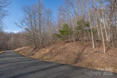 Lot 52 Pinnacle Dr, Elk Park, NC 28622 - photo 2