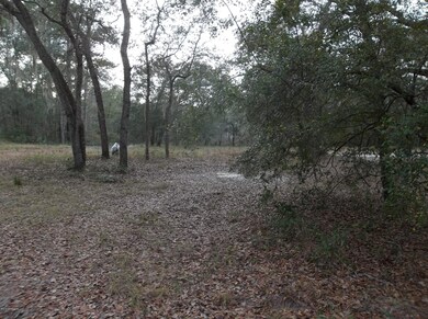 3035 Ten Rod Rd, Middleburg, FL 32068 - photo 5