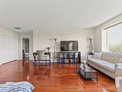 Hammond Park Condominiums unit 605, Chestnut Hill, MA 02467 - photo 4