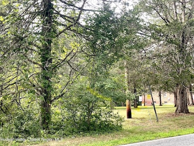 0 Cairo Junction Rd unit 20253145, Catskill, NY 12414 - photo 3