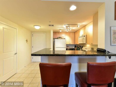 The Crescent unit 1202, Silver Spring, MD 20910 - photo 4