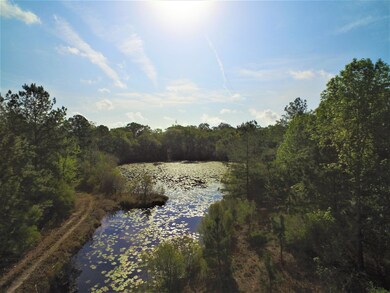Lot 3 Three Sisters Rd, Crawfordville, FL 32327 - photo 5