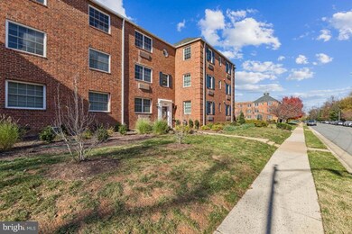 1620 W Abingdon Dr unit 301, Alexandria, VA 22314 - photo 3