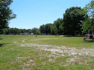 yard view