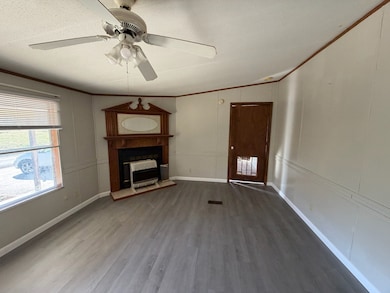 167 Dripping Springs St, Crofton, KY 42217 - photo 5