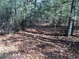 000 Shannon Ct, Deep Gap, NC 28618 - photo 5