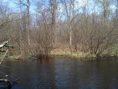 1 W Baseline Rd, White Cloud, MI 49349 - photo 7