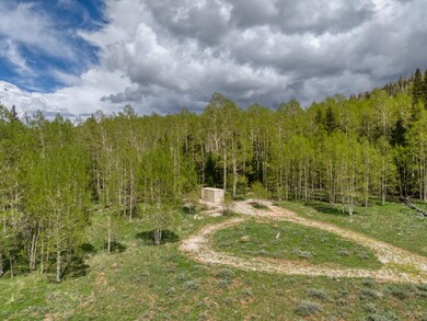 DJI_20250604143418_0028_D_hdr