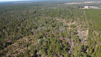 TBD Joe Lorenz Rd, Singer, LA 70660 - photo 4