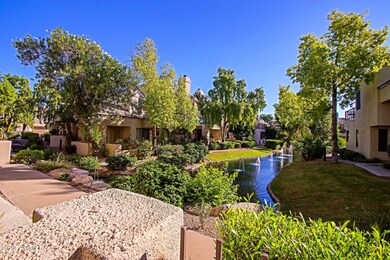 Back Patio Views