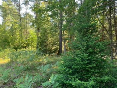 IMG-2562