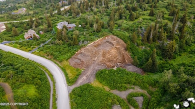 DJI_0854