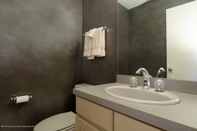 790 W Hallam St unit 14, Aspen, CO 81611 - photo 7