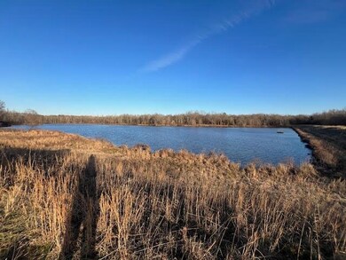 11757 Macon Rd, Unicorp/Eads, TN 38028 - photo 7