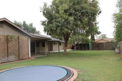 Huge backyard