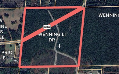 TBD NE 22nd Ln, Hawthorne, FL 32640 - photo 6