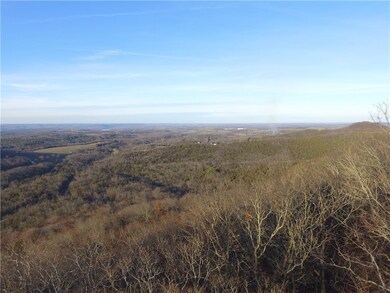 0 Ria Ln unit 1295309, Eureka Springs, AR 72631 - photo 4