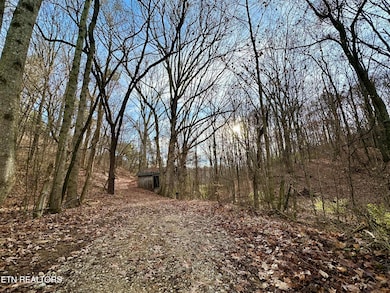 782 County Road 279, Niota, TN 37826 - photo 7