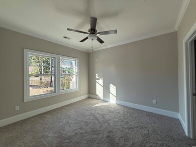 Carpeted empty room featuring visible vents, baseb