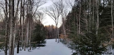 14 Pear Mt Rd unit Lot 14, Bartlett, NH 03812 - photo 4