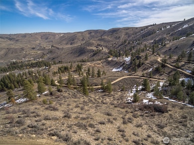 0 Yarbrough Dr unit NWM2360786, Orondo, WA 98816 - photo 6