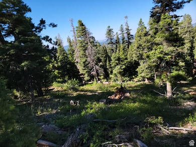 6220 W Brook Ln, Duck Creek, UT 84762 - photo 4