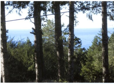 Ocean view