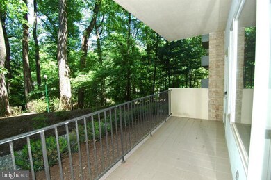 8101 Connecticut Ave unit N108, Chevy Chase, MD 20815 - photo 5