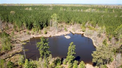 0 Will Johnson Rd, Patrick Henry, VA 23093 - photo 3