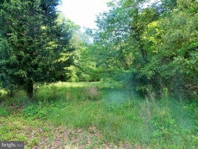 0 Friels Rd, 5, Queenstown, MD 21658 - photo 4