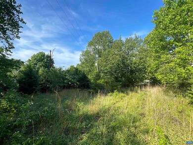 247 Roberts Ridge Ln, Nellysford, VA 22958 - photo 4