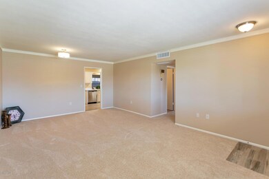 11114 W Emerald Dr, Sun City, AZ 85351 - photo 7