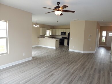 307 Sliding Rock Dr, Pendleton, SC 29670 - photo 7