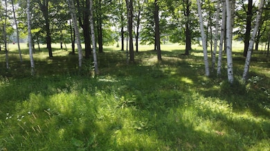 Lot 13 Hunter Cr, Antigo, WI 54409 - photo 2