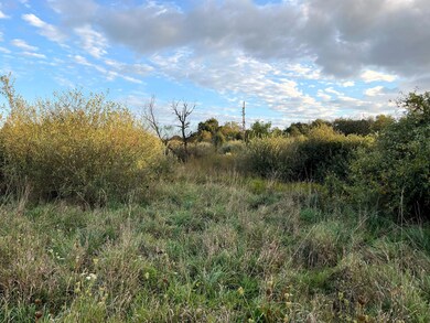 0 Dexter Chelsea Dr Parcel B 3 unit 24052080, Dexter, MI 48130 - photo 4