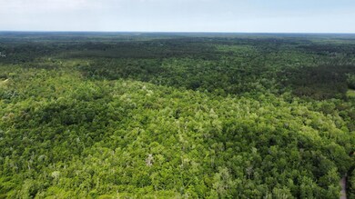 dji_fly_20250521_103018_937_174784173535