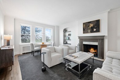 1242 N Lake Shore Dr unit 4N, Chicago, IL 60610 - photo 5