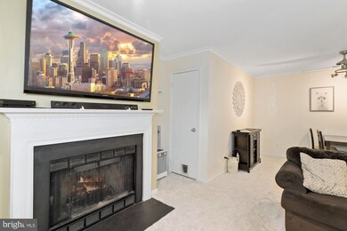 4168 Pleasant Meadow Ct unit 106F, Chantilly, VA 20151 - photo 6