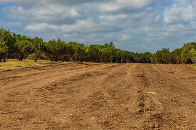 TBD 2 Ox Mill Creek Rd, Weatherford, TX 76087 - photo 5