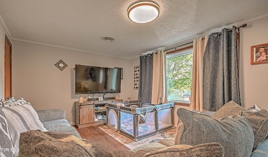 255 Locust Hill Dr, Bristol, VA 24201 - photo 6