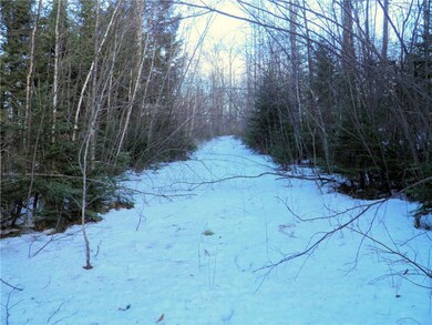 Maine Land for Sale in Island Falls,...