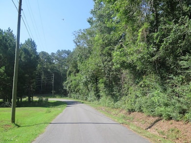 Meador Rd, Laurel, MS 39443 - photo 3