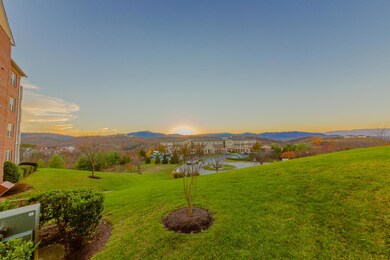 IMG_00008